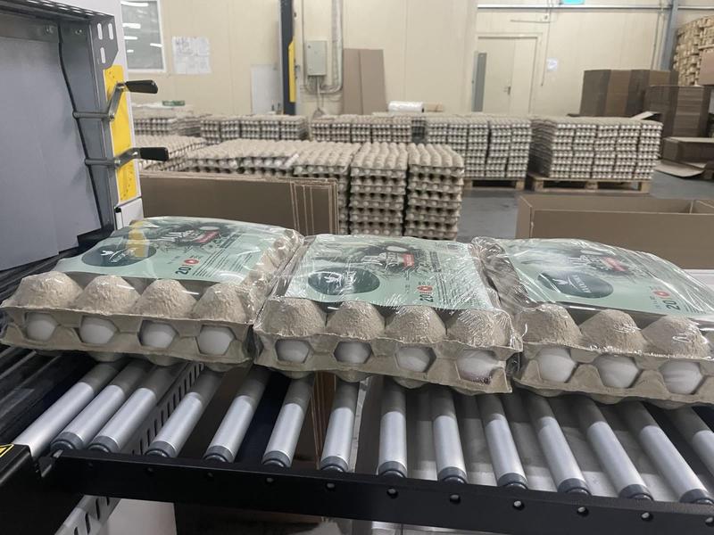 Huevos de gallina